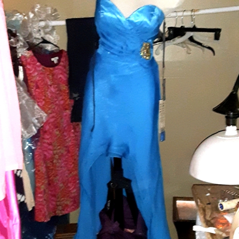 Alyce paris high low dress